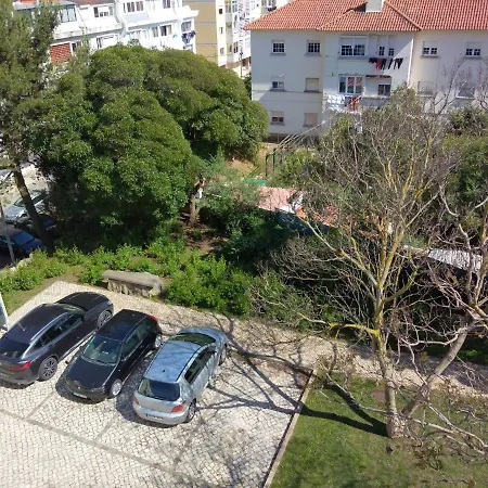 Kochab I Cascais